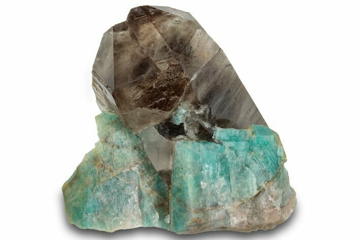 Smoky Quartz Crystals on Amazonite - Colorado #259965